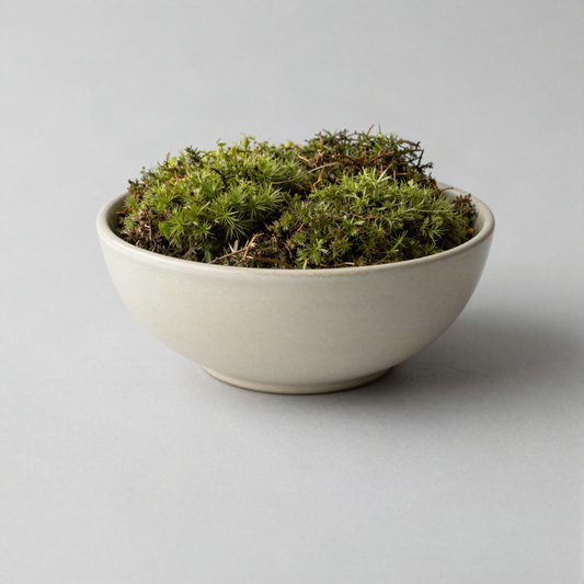 Preserved Moss Bowl