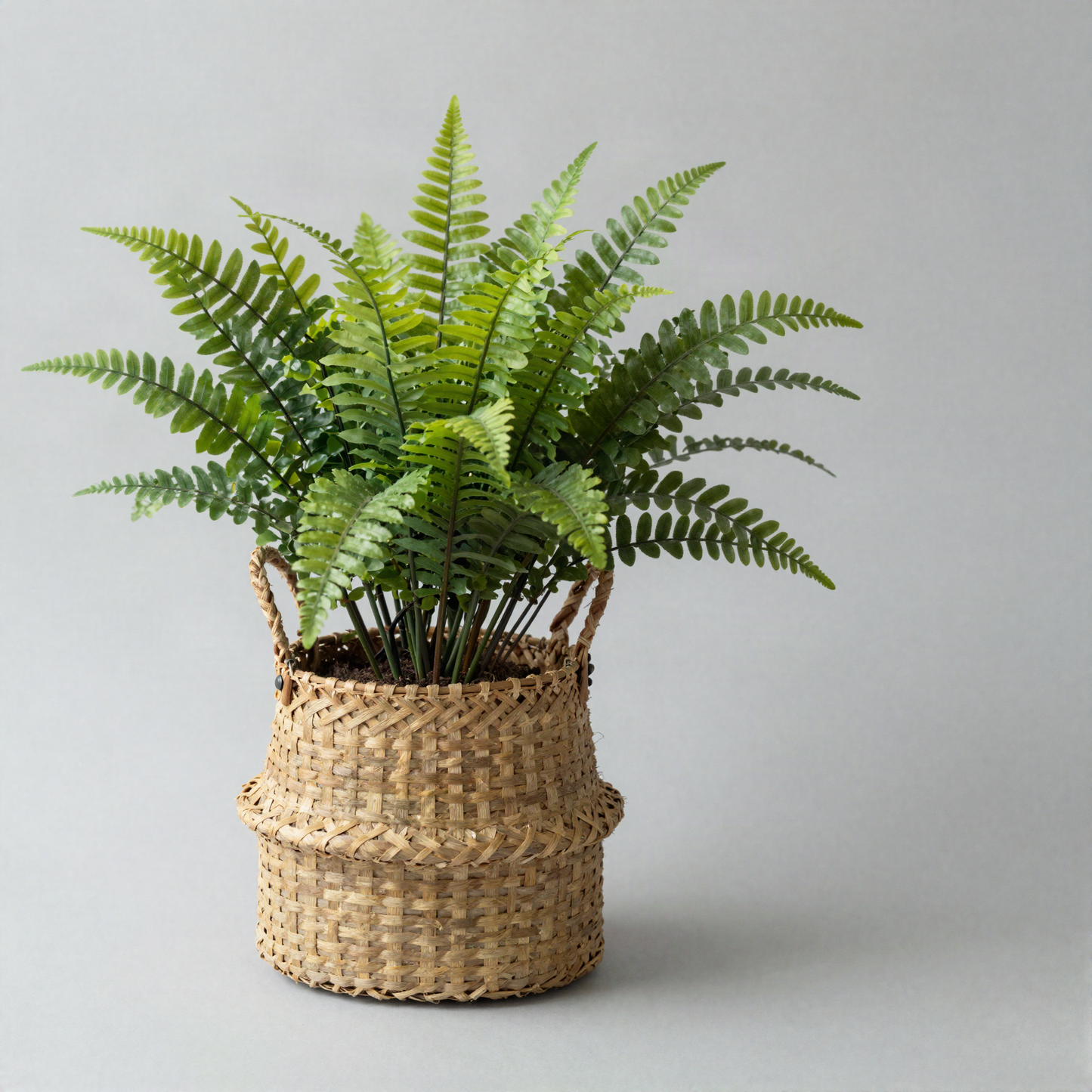 Artificial Fern in Basket