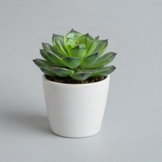 Faux Succulent in Ceramic Pot